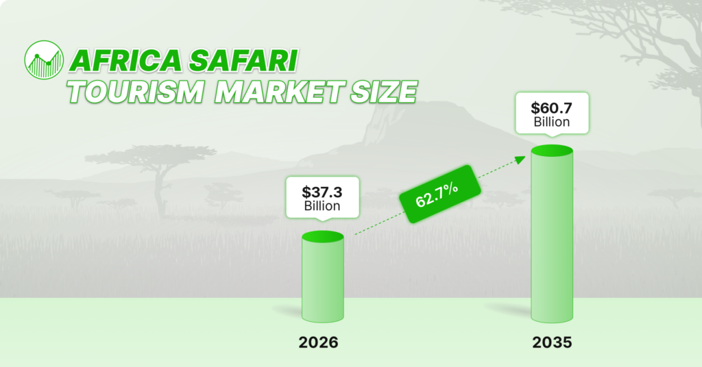African Safari Tourism Market Size Graph